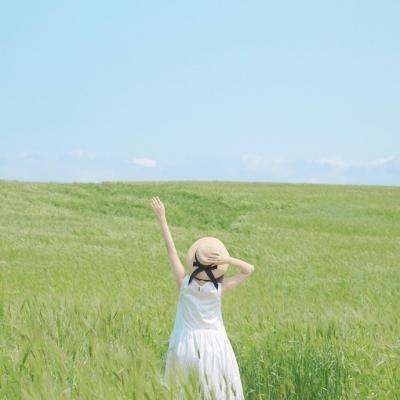 im电竞在线登录截图