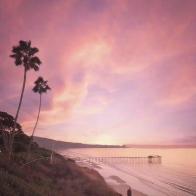 bob·体育综合app下载手机版