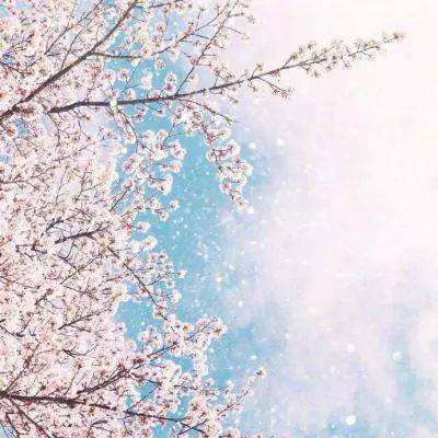 新普京888.3app截图