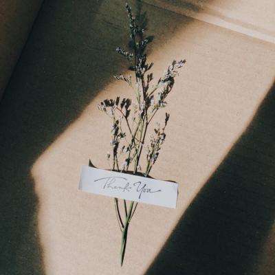 ky体育手机app下载