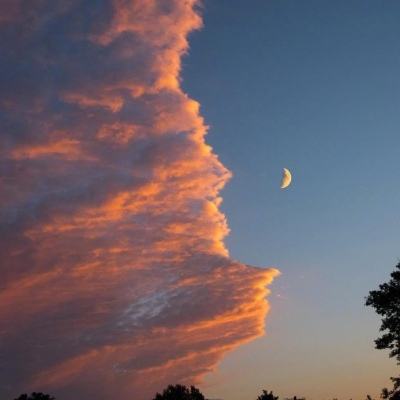 半岛游戏官方网站入口