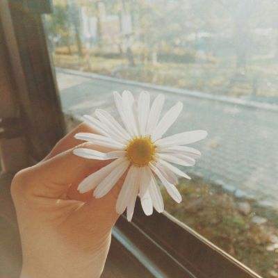 BOB体育官网下载入口